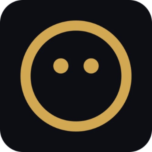 Instant Owl logo