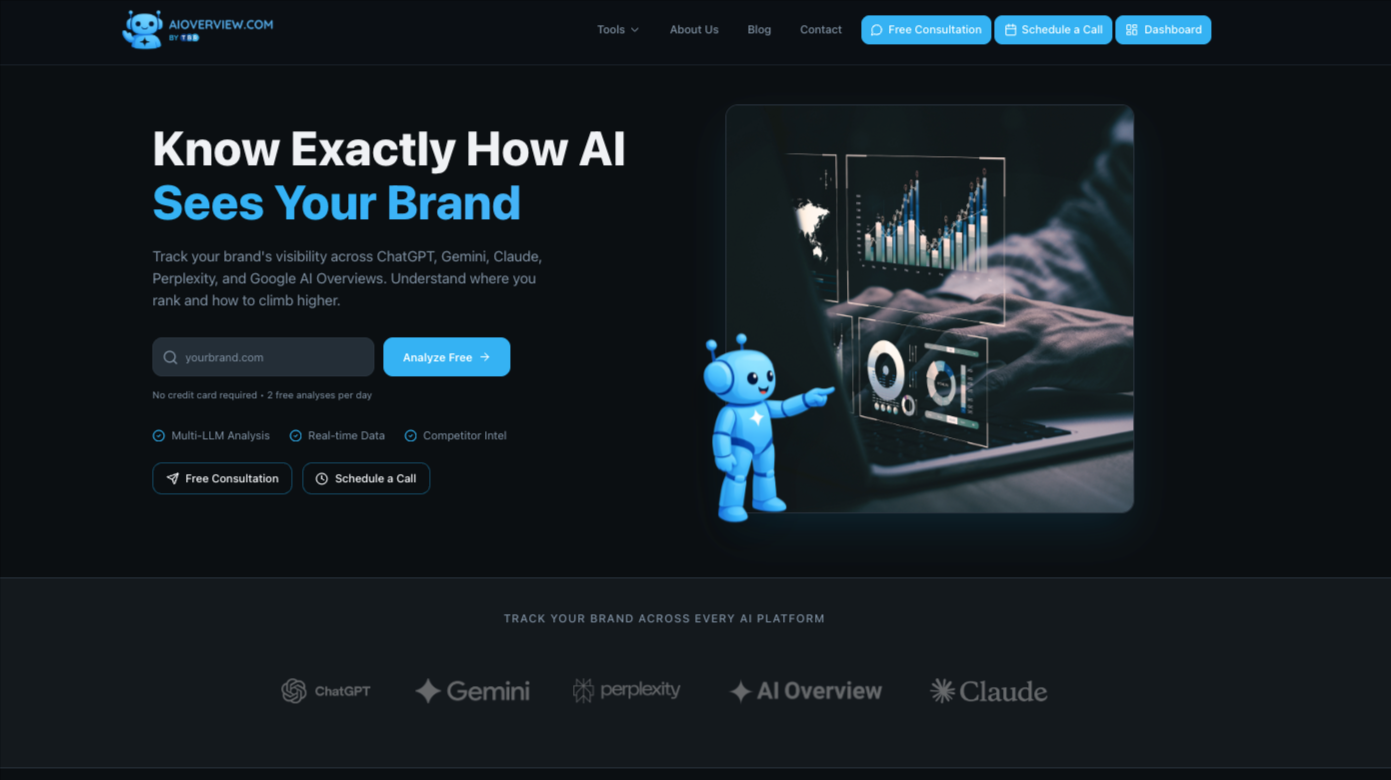 AI Overview website preview