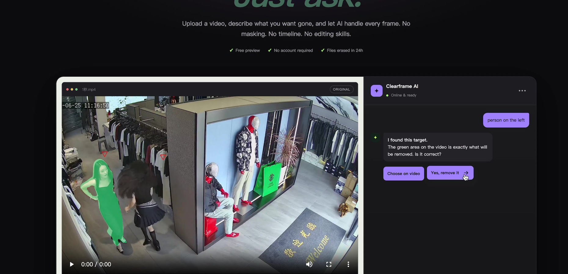 Video Object Remover preview