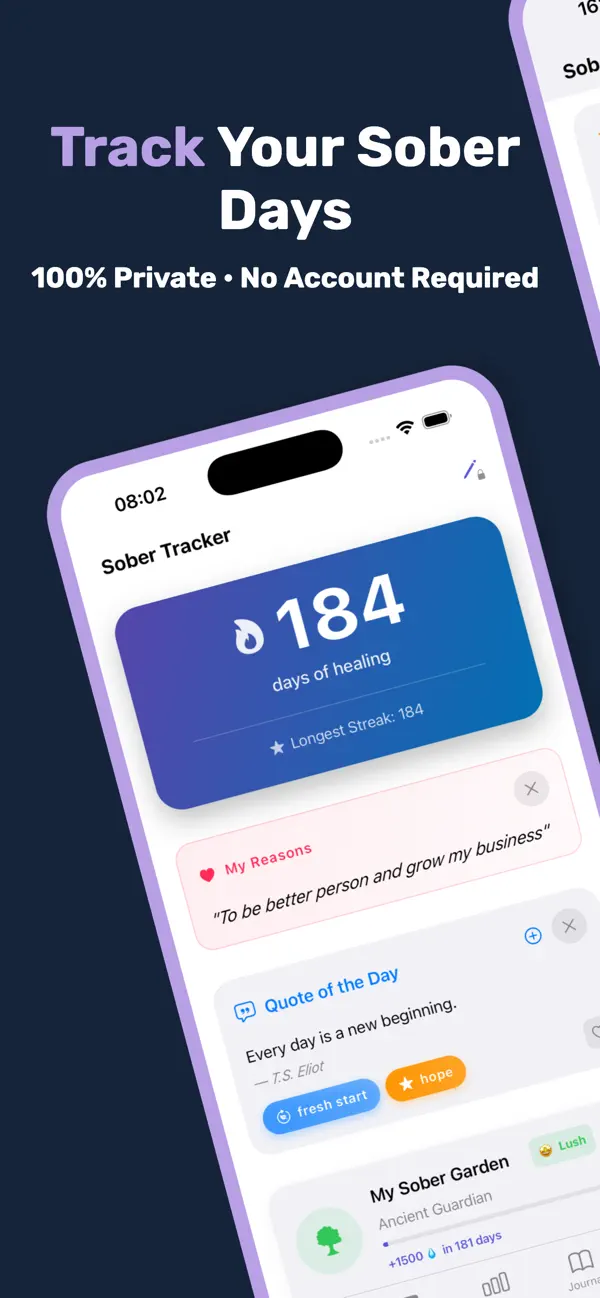 Sober Tracker preview