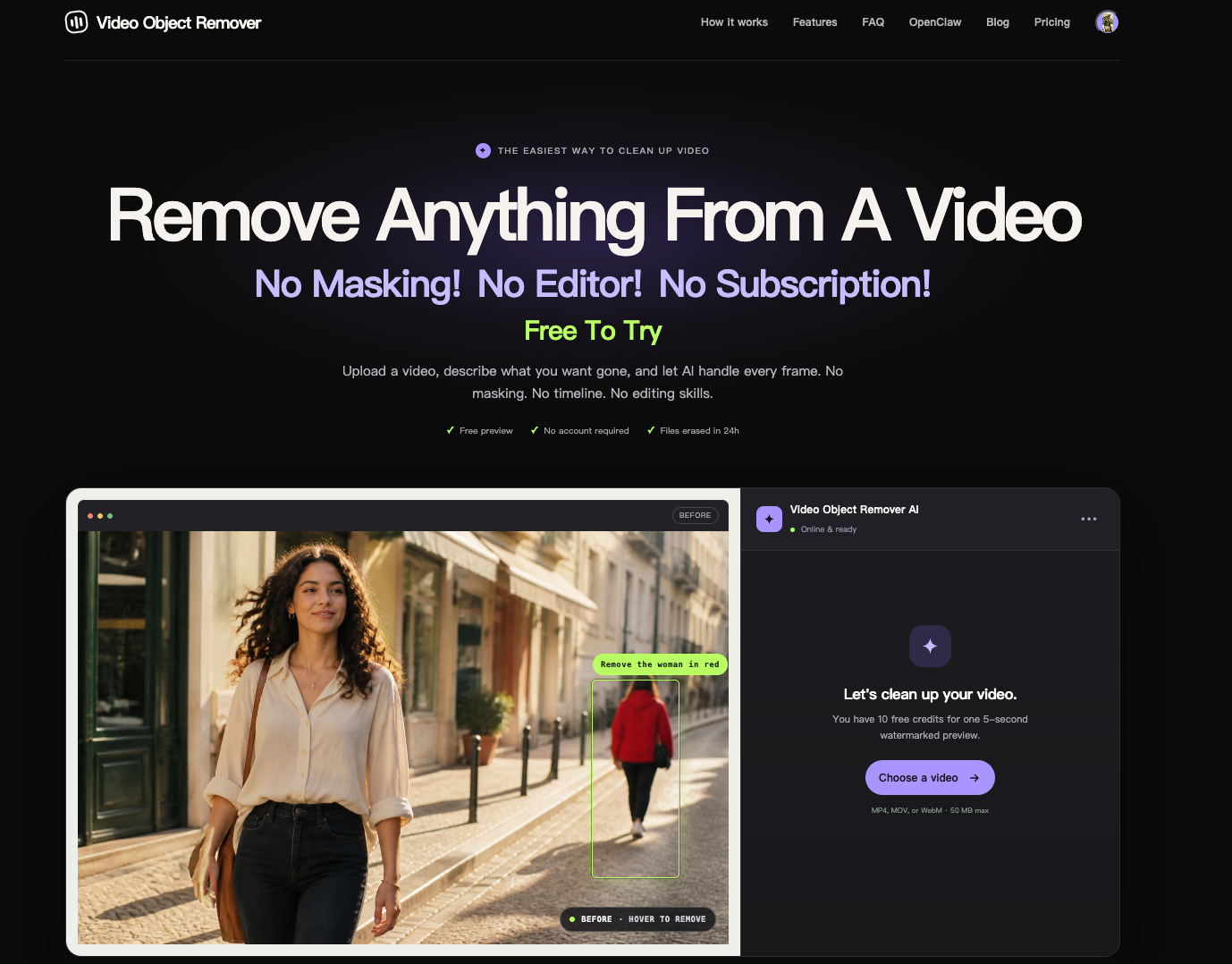 Video Object Remover preview
