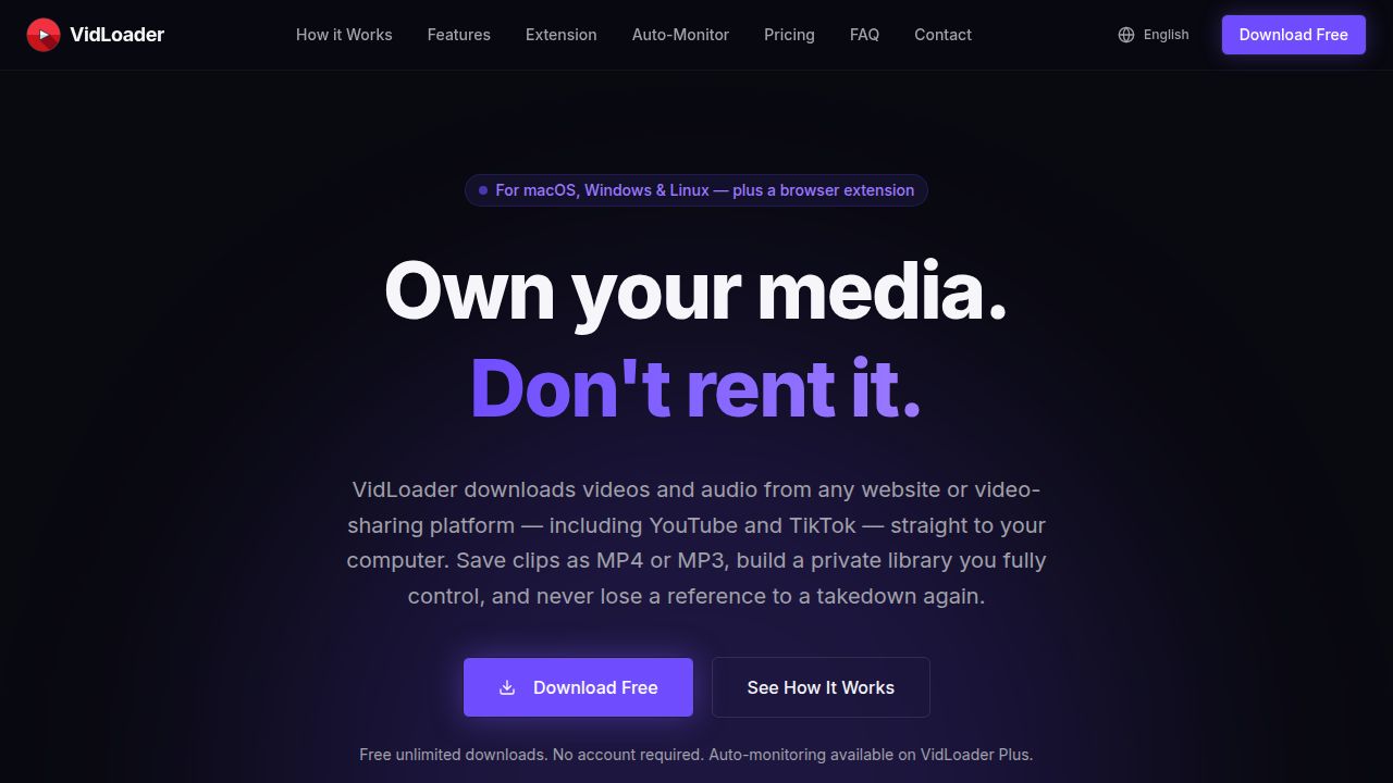 VidLoader screenshot 1
