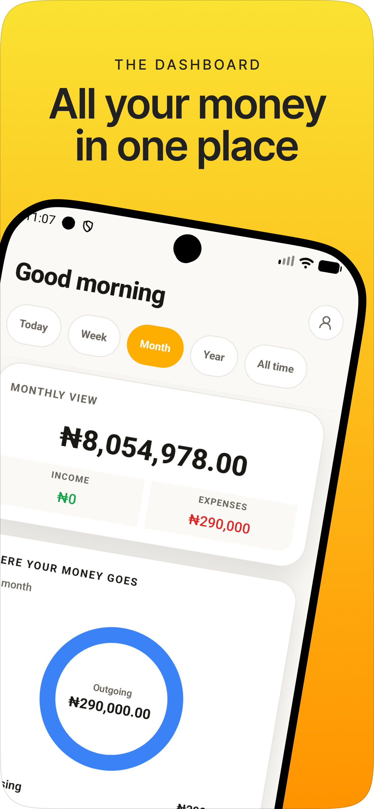 Buxx - Private Money Tracker preview