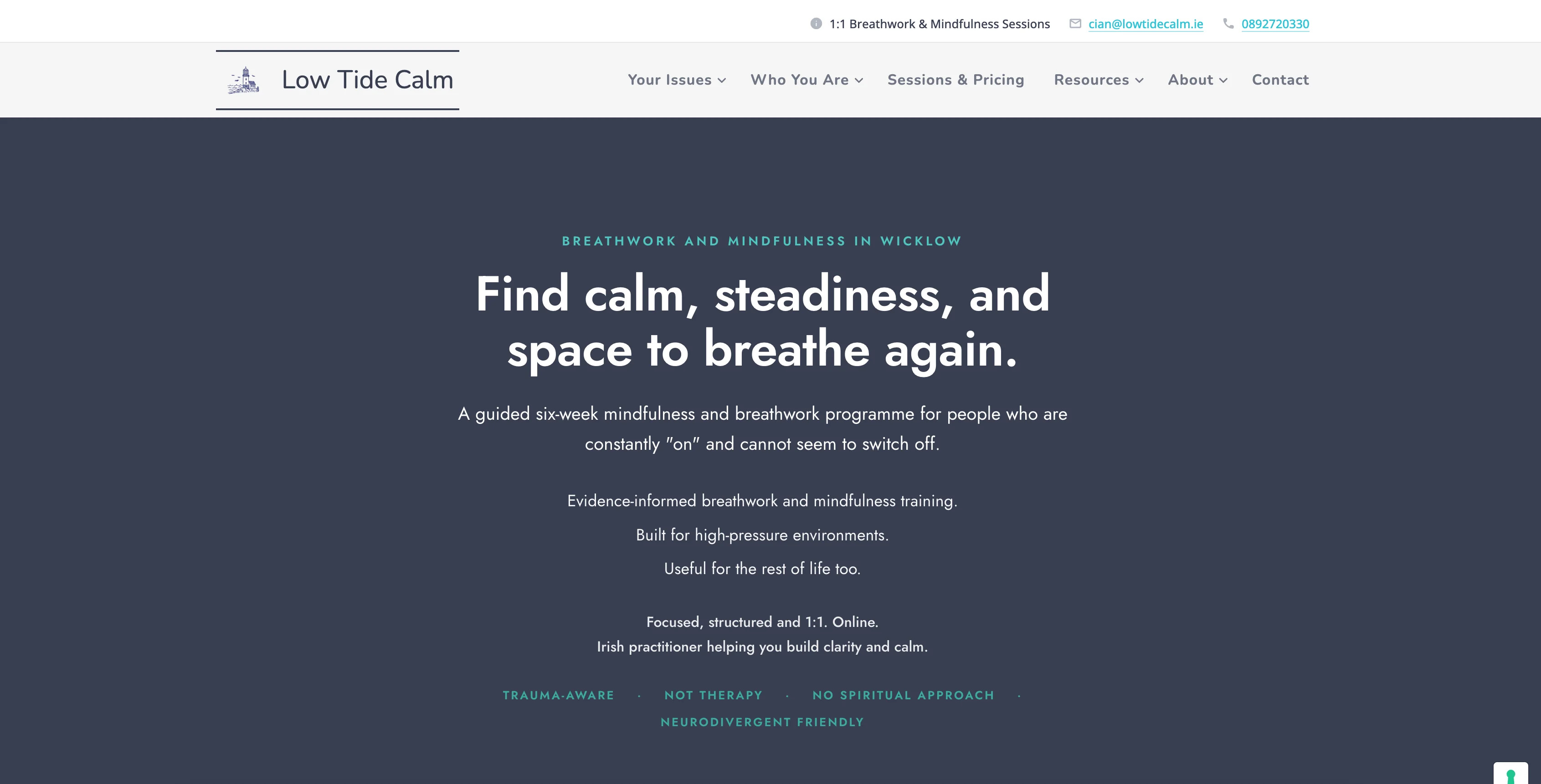 Low Tide Calm website preview