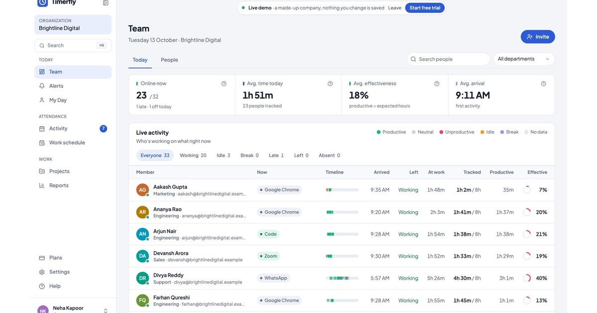 Timerfly preview