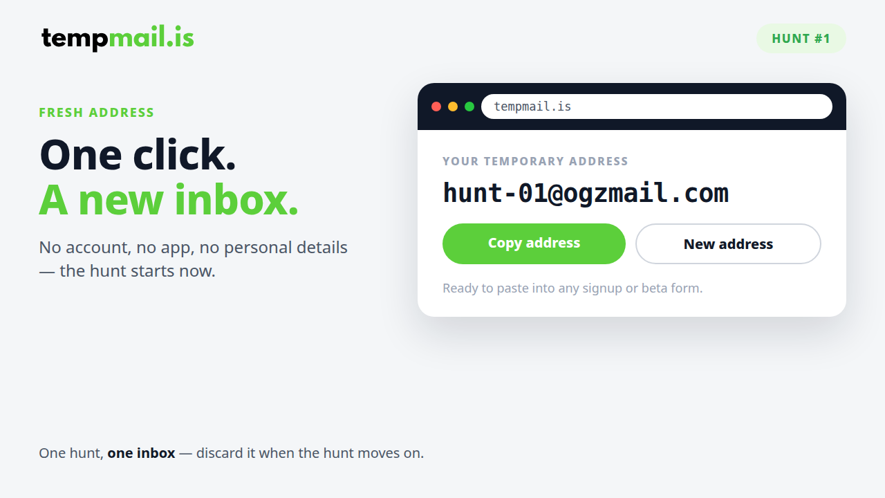 TempMail.is preview