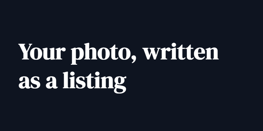Etsy Listing From a Photo — Title, Tags, Description screenshot 1