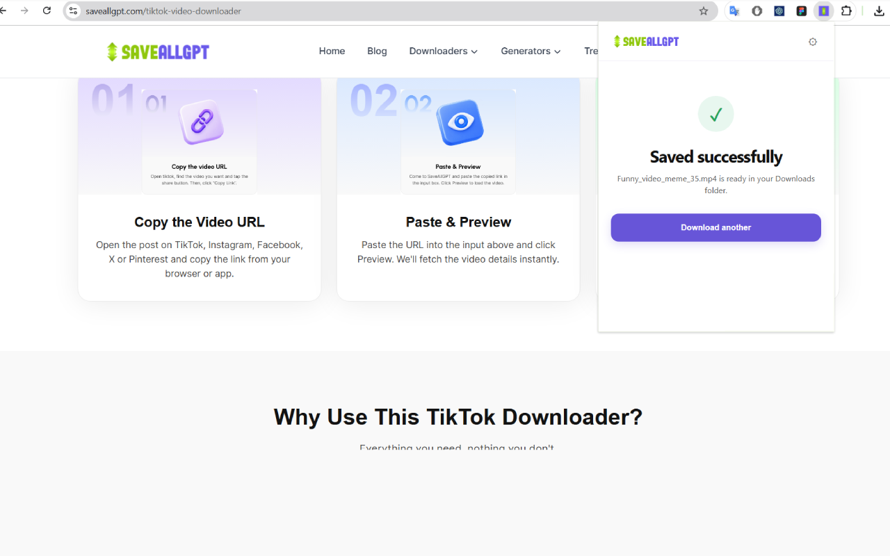 SaveAllGPT preview