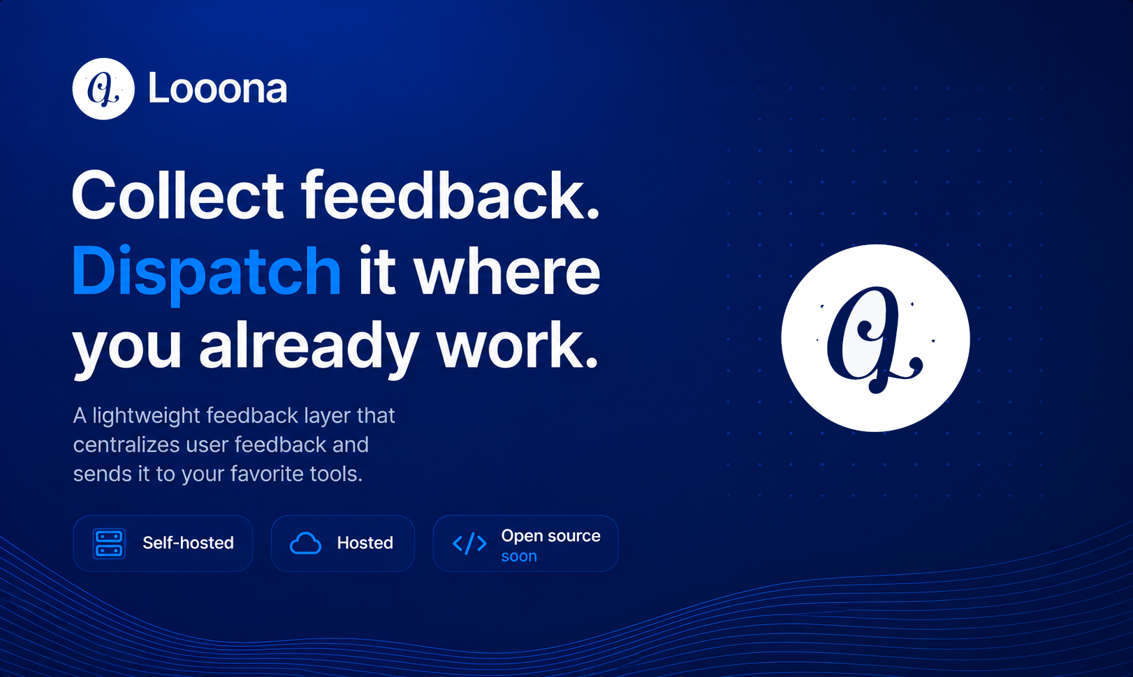 Looona website preview
