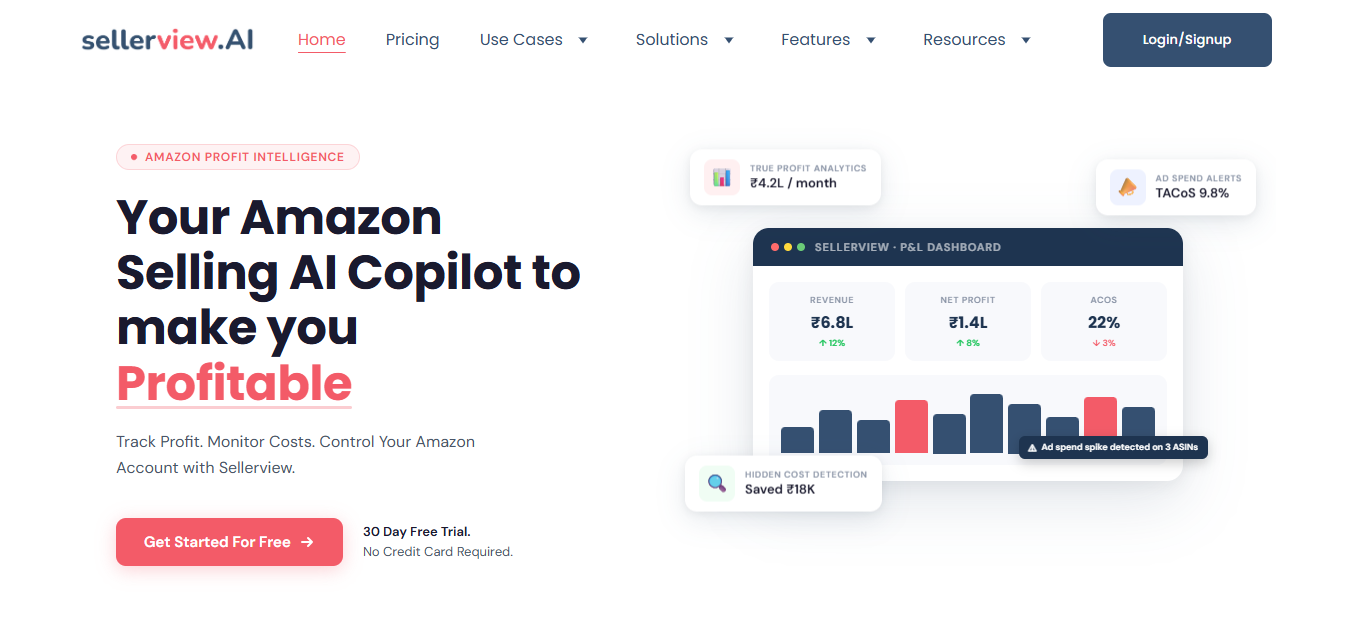Sellerview.ai website preview